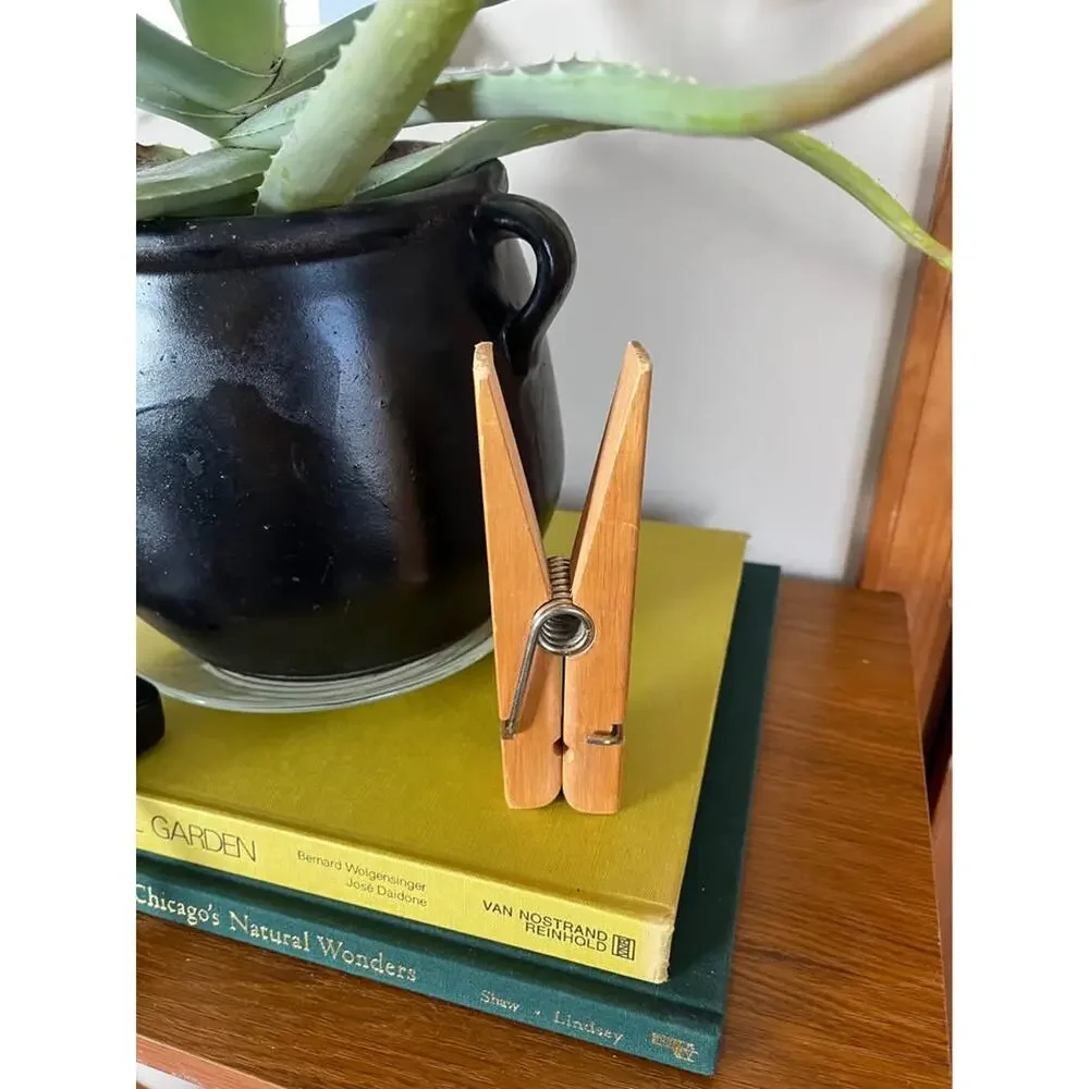 Set of 2 Large Wooden Clothes Pins